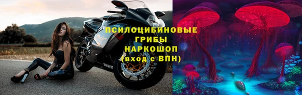 ГАЛЛЮЦИНОГЕННЫЕ ГРИБЫ Беломорск