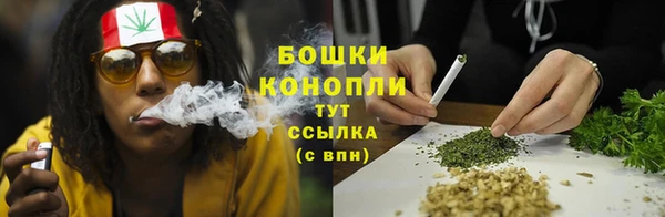 ГАЛЛЮЦИНОГЕННЫЕ ГРИБЫ Беломорск
