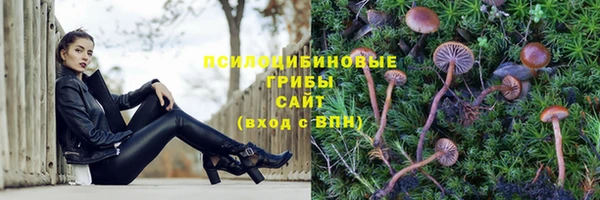 меф Белокуриха
